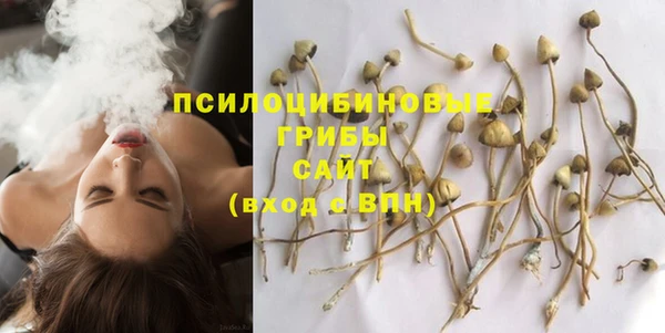 экстази Арсеньев