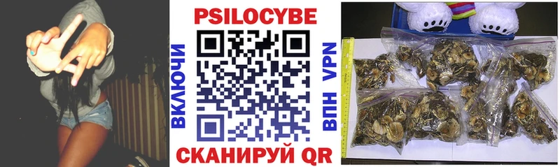 Псилоцибиновые грибы Psilocybe  Николаевск 